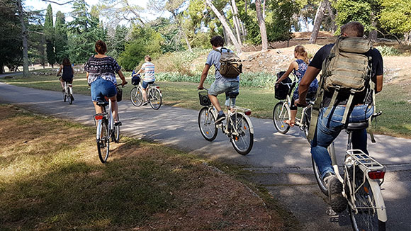 A group of people cycling through a park. 