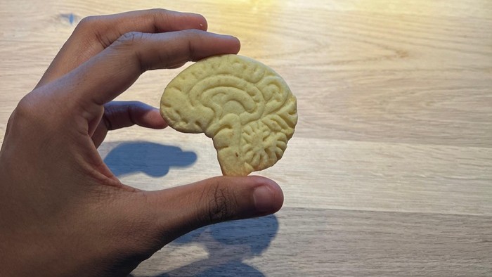 Eine Hand hält einen Keks in Form eines menschlichen Gehirns über einer Holzoberfläche.