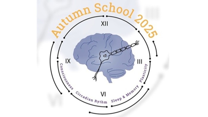 © Dr. Manuel Nagel Das Bild zeigt ein Logo für die „Autumn School 2025“, in dem eine stilisierte Gehirngrafik von einem kreisförmigen Zifferblatt umgeben ist, das Themen wie Consciousness, Circadian Rhythm, Sleep & Memory aufführt.