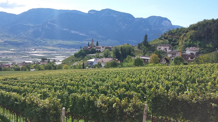 Panoramablick bei Tramin (Südtirol), dem Ort der Sommerschule.