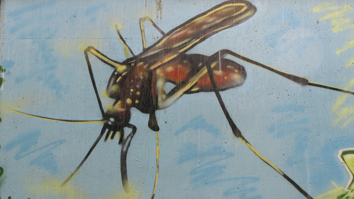 This picture shows a graffiti painting of a mosquito. 