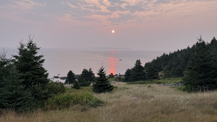 © Etienne Pablo Dame Sunrise over the sea with a reddish glow on the water and trees in the foreground.