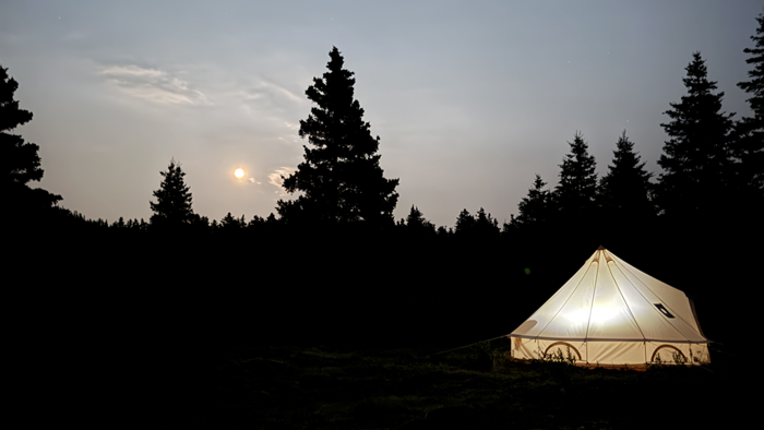 A glowing tent in a dark forest under a moonlit night sky. 