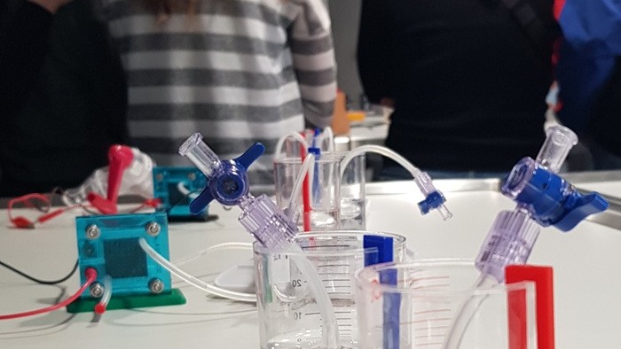 © Dr. Brenda Pfenning MINT Lehramt Plus students take part in a practical workshop.
